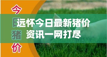 遠(yuǎn)懷今日最新豬價資訊一網(wǎng)打盡