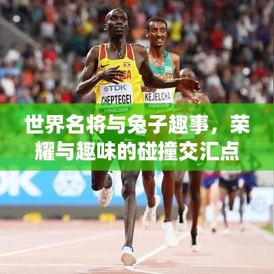 世界名將與兔子趣事，榮耀與趣味的碰撞交匯點