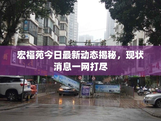 宏福苑今日最新動態(tài)揭秘，現(xiàn)狀消息一網(wǎng)打盡