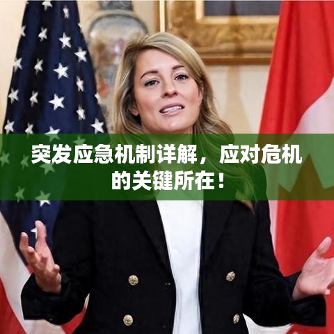 突發(fā)應(yīng)急機(jī)制詳解，應(yīng)對(duì)危機(jī)的關(guān)鍵所在！