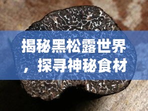揭秘黑松露世界，探尋神秘食材背后的故事——百度獨(dú)家呈現(xiàn)
