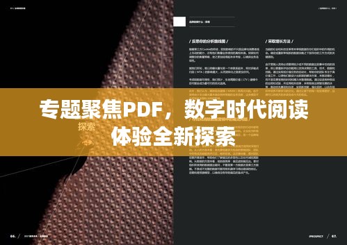 專題聚焦PDF，數(shù)字時代閱讀體驗全新探索