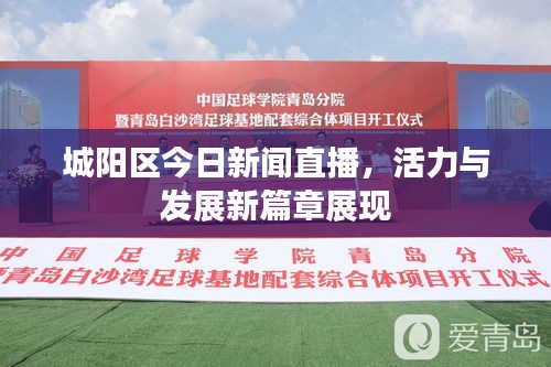 城陽區(qū)今日新聞直播，活力與發(fā)展新篇章展現