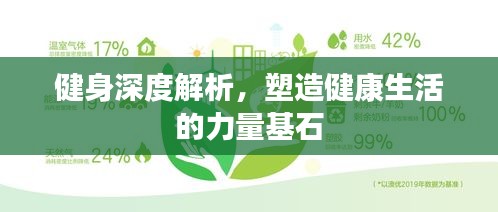 健身深度解析，塑造健康生活的力量基石