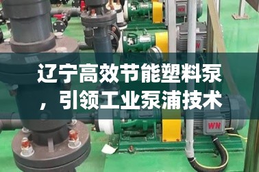 遼寧高效節(jié)能塑料泵，引領(lǐng)工業(yè)泵浦技術(shù)革新風(fēng)潮