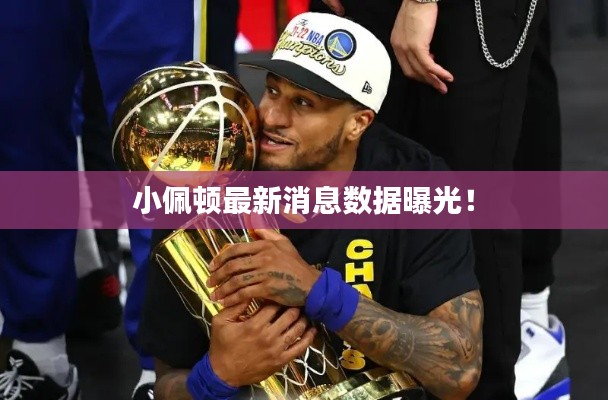 小佩頓最新消息數(shù)據(jù)曝光！