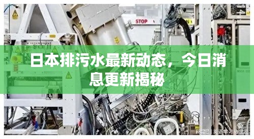 日本排污水最新動態(tài)，今日消息更新揭秘