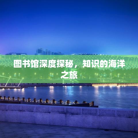 圖書館深度探秘，知識的海洋之旅