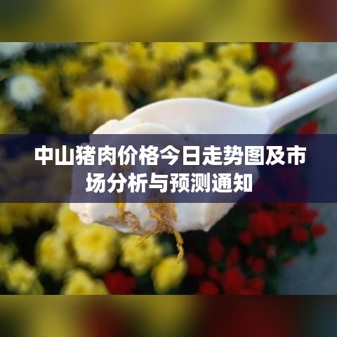 中山豬肉價(jià)格今日走勢(shì)圖及市場(chǎng)分析與預(yù)測(cè)通知