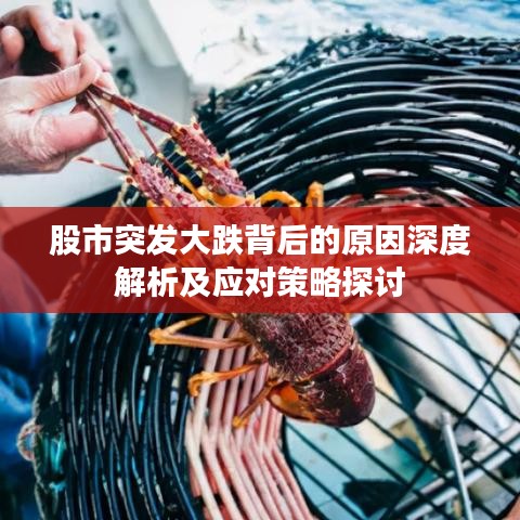 股市突發(fā)大跌背后的原因深度解析及應(yīng)對(duì)策略探討