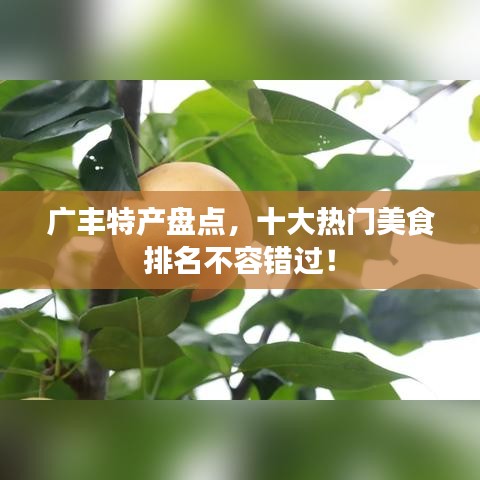 廣豐特產(chǎn)盤點(diǎn)，十大熱門美食排名不容錯(cuò)過(guò)！