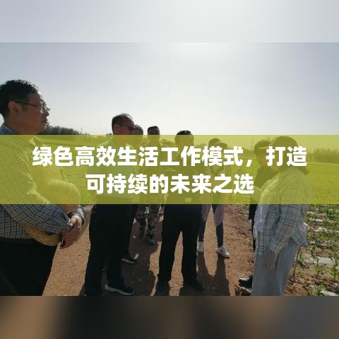 綠色高效生活工作模式，打造可持續(xù)的未來之選