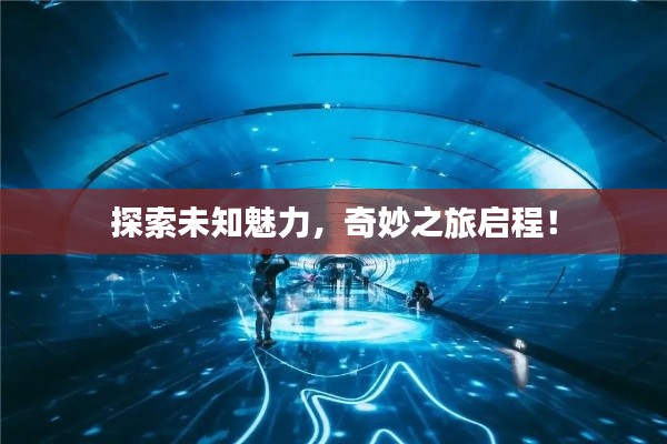 探索未知魅力，奇妙之旅啟程！