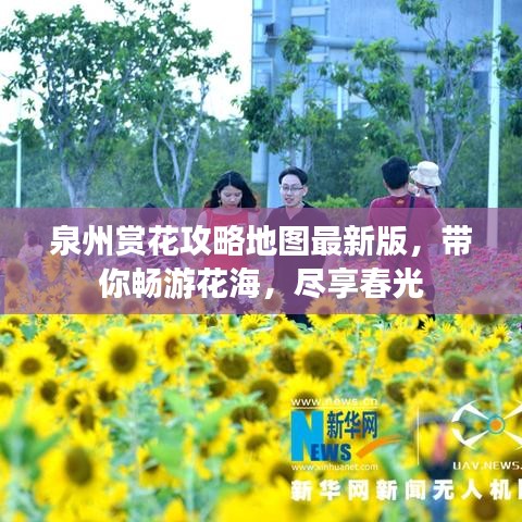 泉州賞花攻略地圖最新版，帶你暢游花海，盡享春光