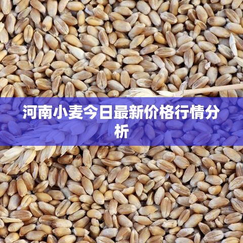 狗尾續(xù)貂 第2頁