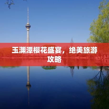 玉淵潭櫻花盛宴，絕美旅游攻略