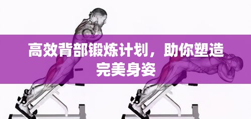 高效背部鍛煉計(jì)劃，助你塑造完美身姿
