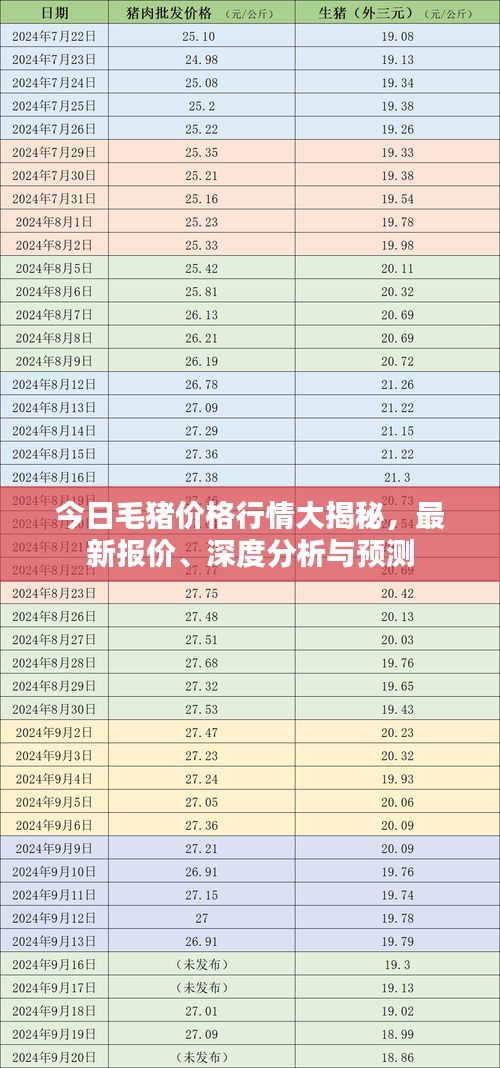 今日毛豬價格行情大揭秘，最新報價、深度分析與預測