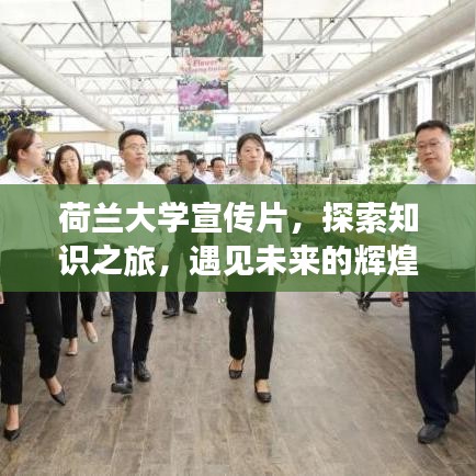 荷蘭大學(xué)宣傳片，探索知識之旅，遇見未來的輝煌自我