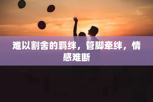 難以割舍的羈絆，管腳牽絆，情感難斷