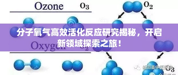 分子氧氣高效活化反應(yīng)研究揭秘，開(kāi)啟新領(lǐng)域探索之旅！