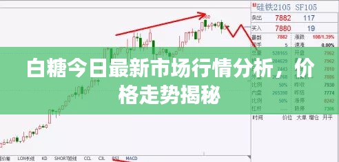 白糖今日最新市場(chǎng)行情分析，價(jià)格走勢(shì)揭秘