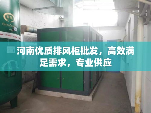 河南優(yōu)質排風柜批發(fā)，高效滿足需求，專業(yè)供應
