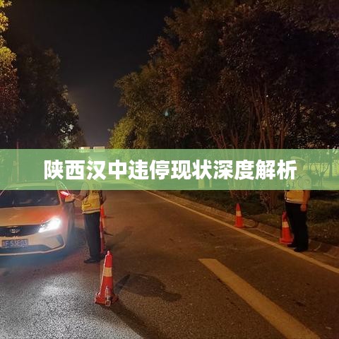 陜西漢中違?，F(xiàn)狀深度解析