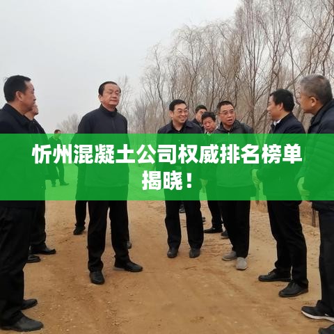 忻州混凝土公司權(quán)威排名榜單揭曉！
