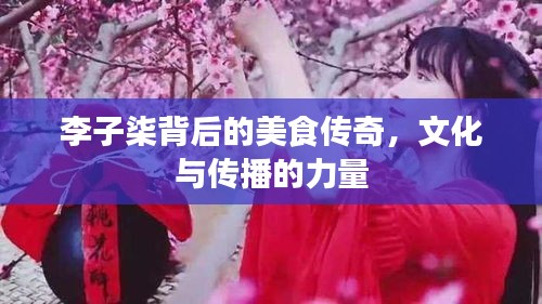 李子柒背后的美食傳奇，文化與傳播的力量
