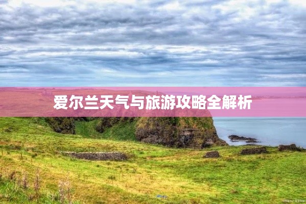 炊粱跨衛(wèi) 第2頁