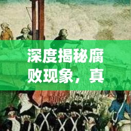 深度揭秘腐敗現象，真相與挑戰(zhàn)的較量