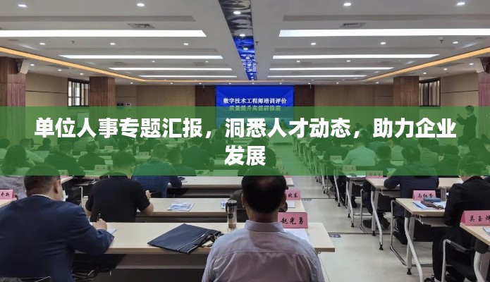 單位人事專題匯報，洞悉人才動態(tài)，助力企業(yè)發(fā)展