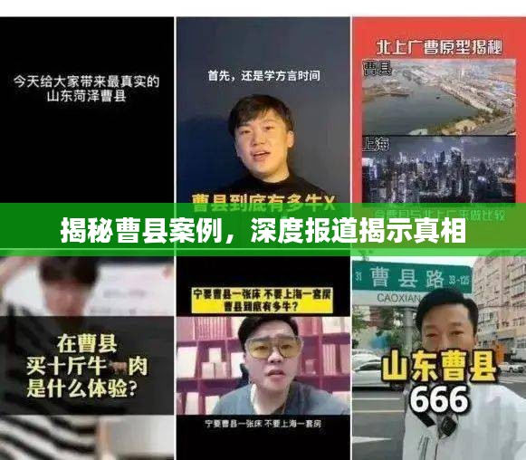揭秘曹縣案例，深度報(bào)道揭示真相