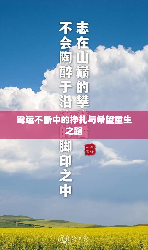 霉運不斷中的掙扎與希望重生之路