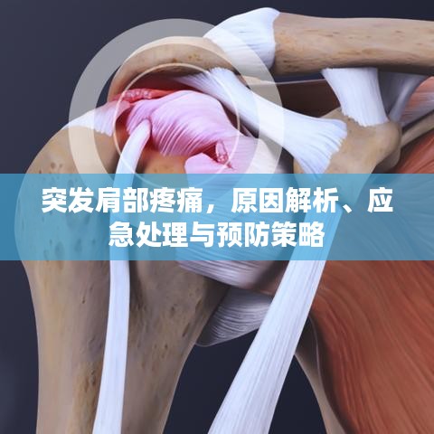 突發(fā)肩部疼痛，原因解析、應(yīng)急處理與預(yù)防策略