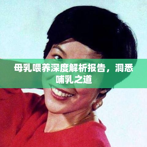 母乳喂養(yǎng)深度解析報(bào)告，洞悉哺乳之道