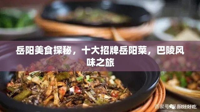 岳陽美食探秘，十大招牌岳陽菜，巴陵風(fēng)味之旅