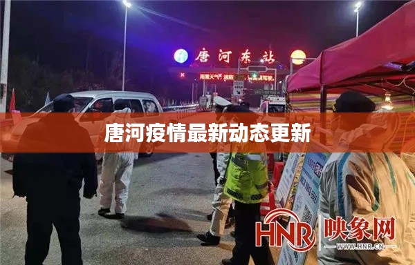唐河疫情最新動(dòng)態(tài)更新