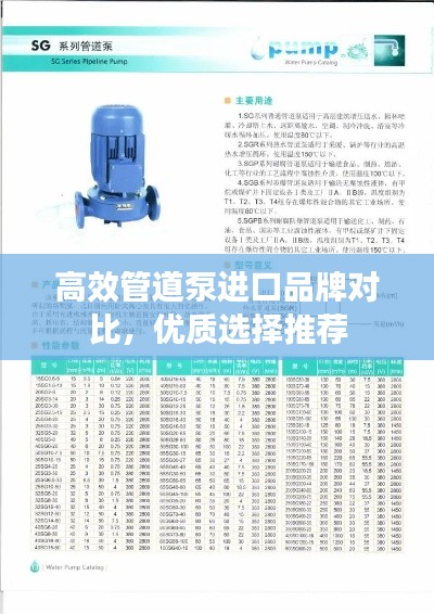 高效管道泵進口品牌對比，優(yōu)質(zhì)選擇推薦
