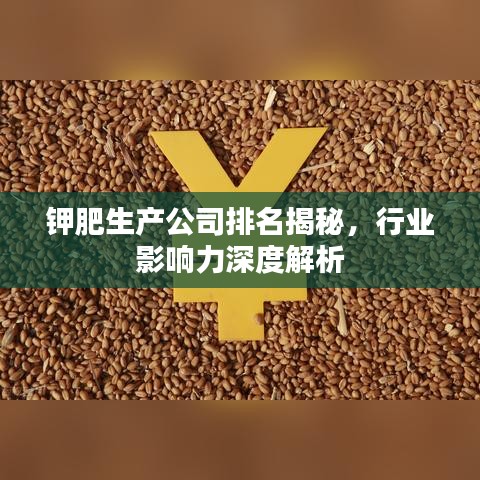 鉀肥生產(chǎn)公司排名揭秘，行業(yè)影響力深度解析