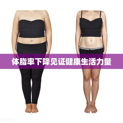 體脂率下降見(jiàn)證健康生活力量