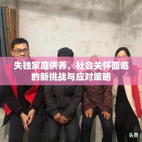 失獨(dú)家庭供養(yǎng)，社會(huì)關(guān)懷面臨的新挑戰(zhàn)與應(yīng)對(duì)策略