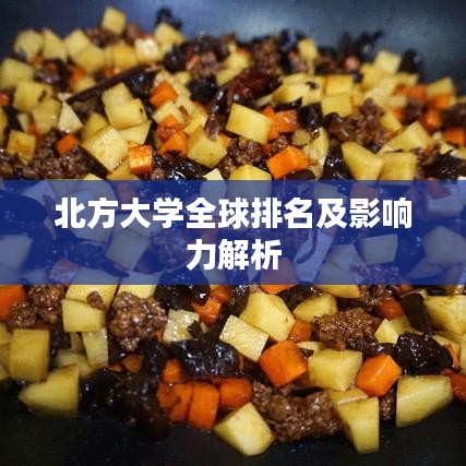 北方大學全球排名及影響力解析