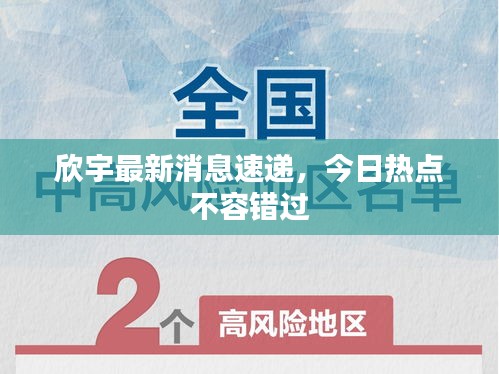 欣宇最新消息速遞，今日熱點不容錯過