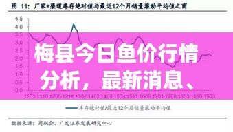 梅縣今日魚(yú)價(jià)行情分析，最新消息、市場(chǎng)走勢(shì)與影響因素全解析