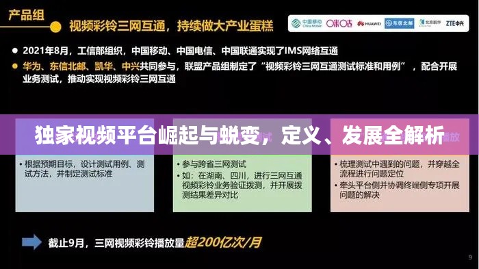 獨家視頻平臺崛起與蛻變，定義、發(fā)展全解析