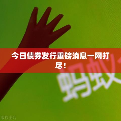 今日債券發(fā)行重磅消息一網(wǎng)打盡！