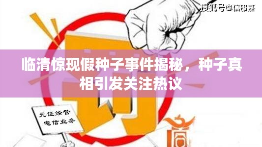 臨清驚現(xiàn)假種子事件揭秘，種子真相引發(fā)關(guān)注熱議