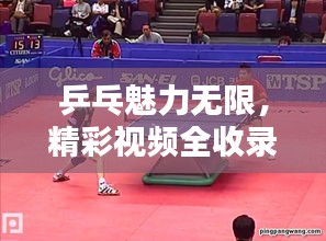乒乓魅力無限，精彩視頻全收錄，盡在百度乒乓盛宴